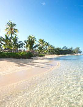 5 Mauritius beach and palms 5 Mauritius beach and palms